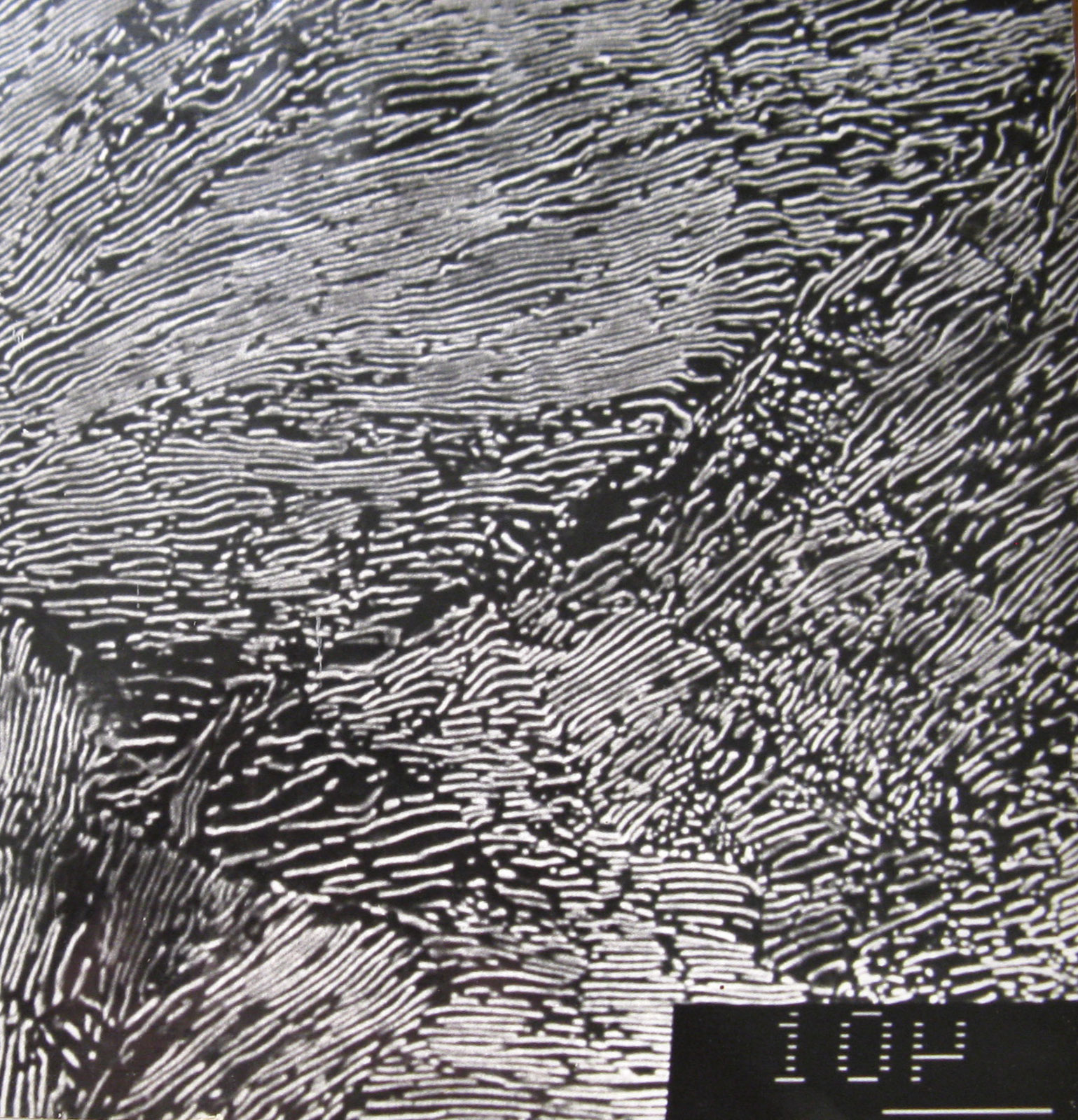 lamellar pearlite